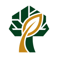 Corpus Christi Tree Service